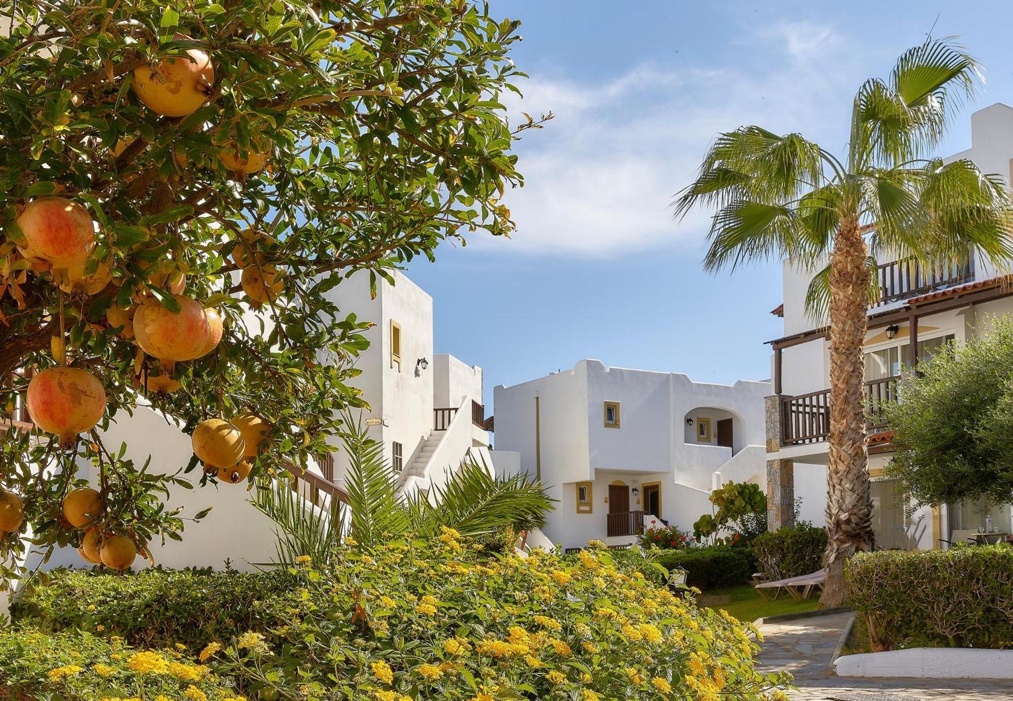 Alexander Beach Hotel & Village Resort Mália Exterior foto